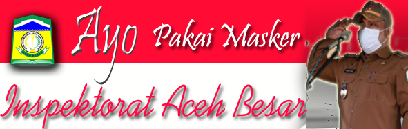 WEBSITE INSPEKTORAT KABUPATEN ACEH BESAR